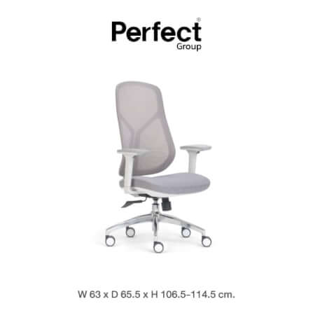 เก้าอี้ทำงานเพื่อสุขภาพ Perfect SWAN SERIES รุ่น 503BG สีเทา